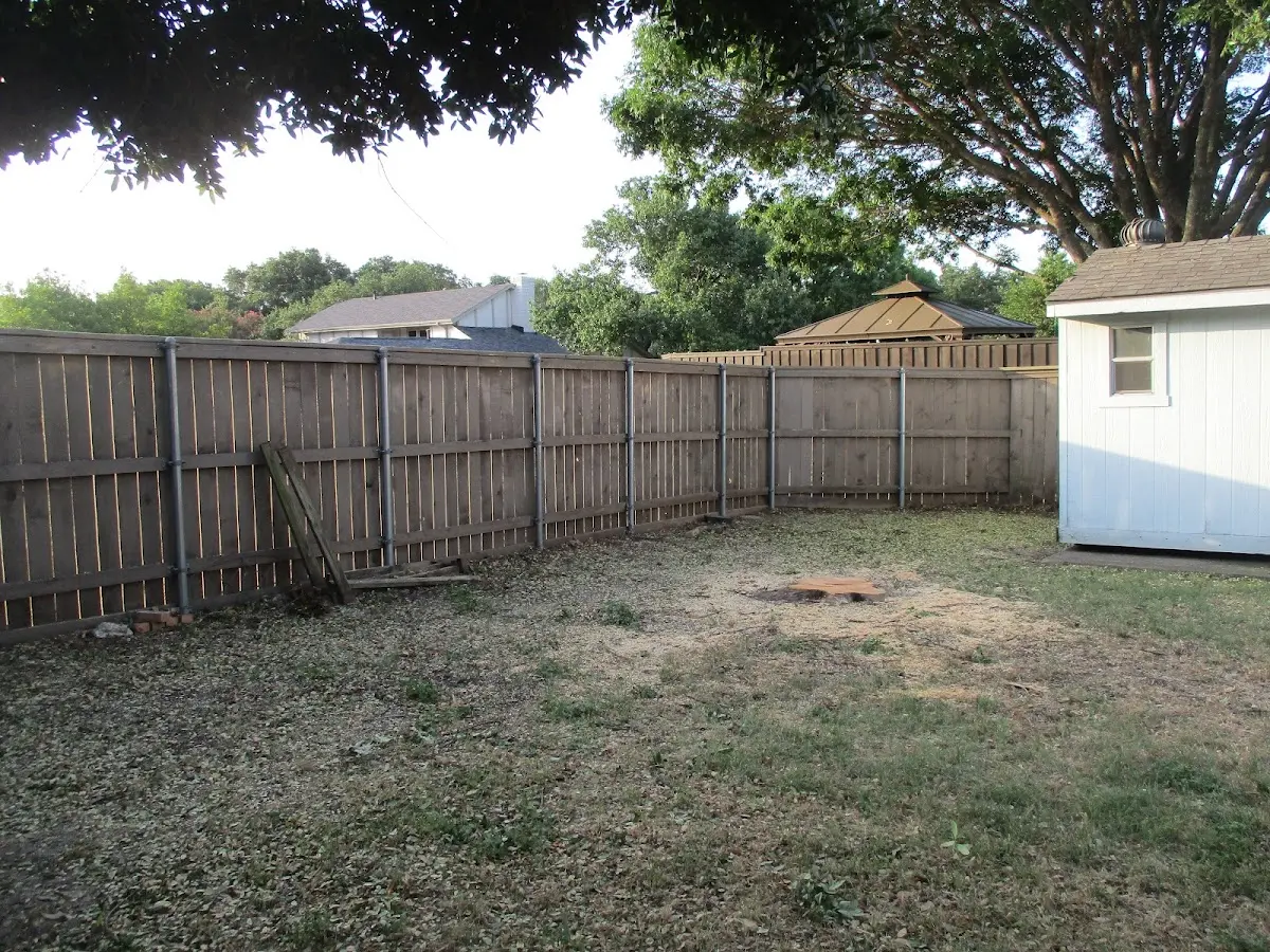 Cleared yard after professional tree removal in Silt